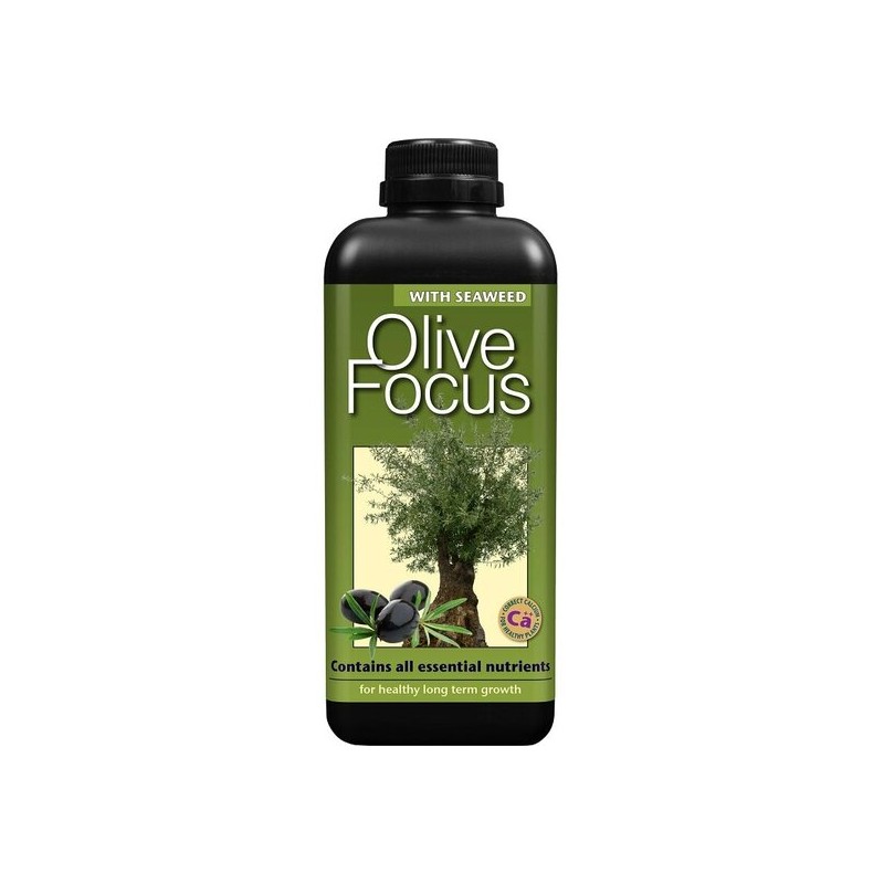 Entretien - olive focus - 1000 ml
