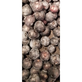 Vaccinium corymbosum 'Patriot' / Myrtillier 'Patriot