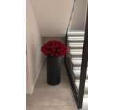 Rose éternelle premium – Fleur stabilisée – Plusieurs couleurs