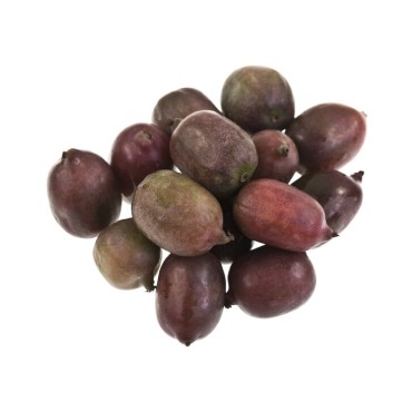Actinidia arguta Ken's Red 2 ltr