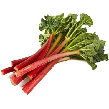 Rheum rhabarbarm Red Champagne - hauteur totale 40-60 cm - pot 2 ltr
