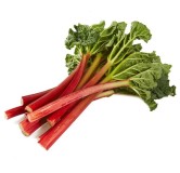 Rheum rhabarbarm Red Champagne - hauteur totale 40-60 cm - pot 2 ltr