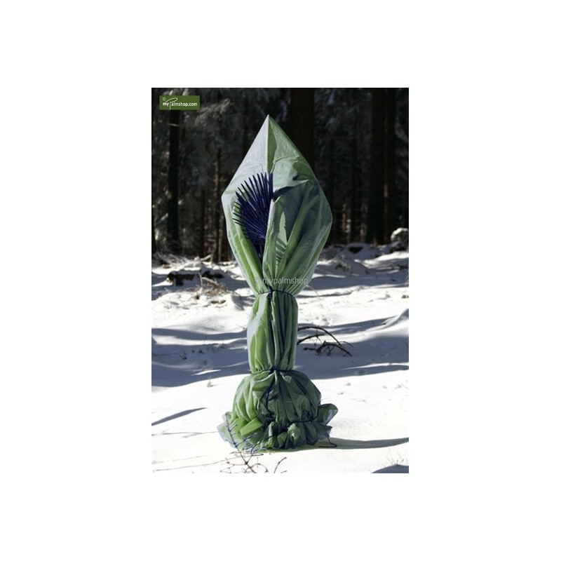 Accessoires - protection hivernale pour plantes pyramide hauteur 250 cm