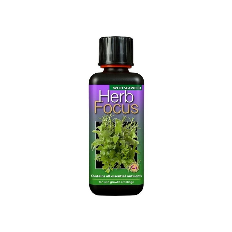 Entretien - herb focus 300 ml