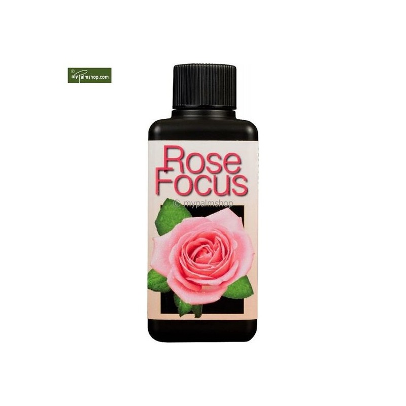 Entretien - rose focus 300 ml