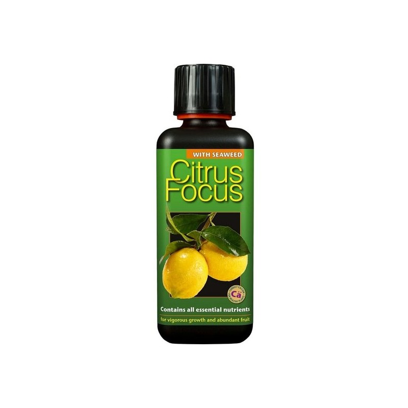 Entretien - citrus focus - 300 ml