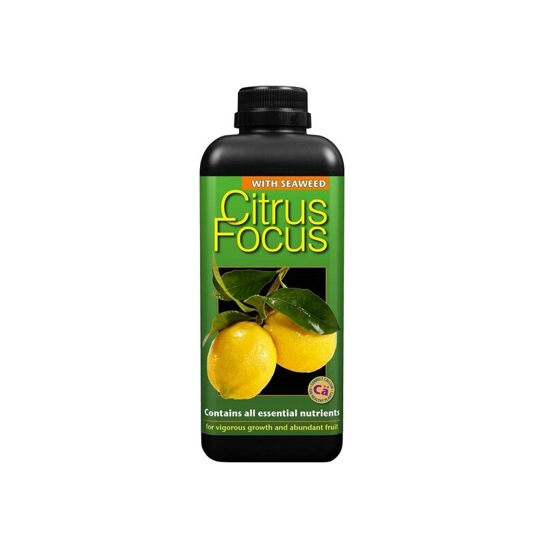 Entretien - citrus focus - 1000 ml