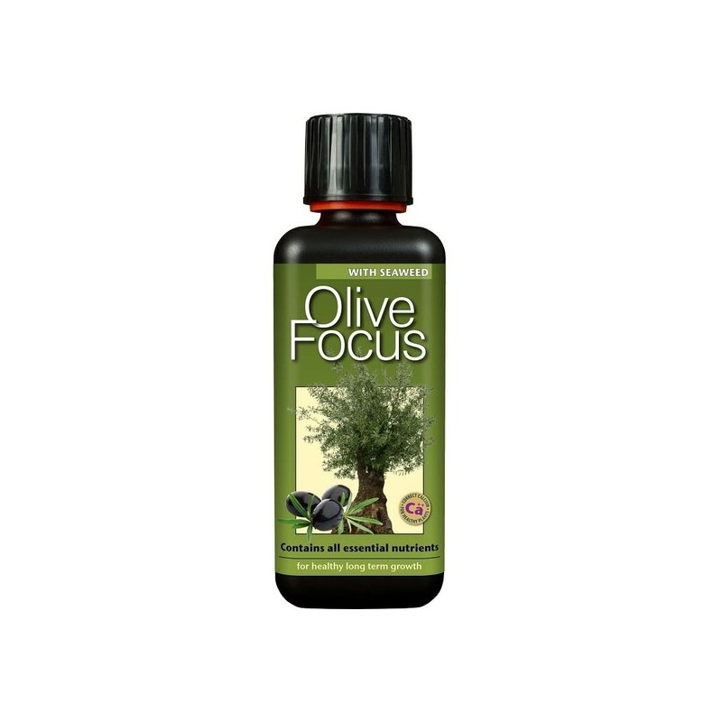 Entretien - olive focus - 300 ml