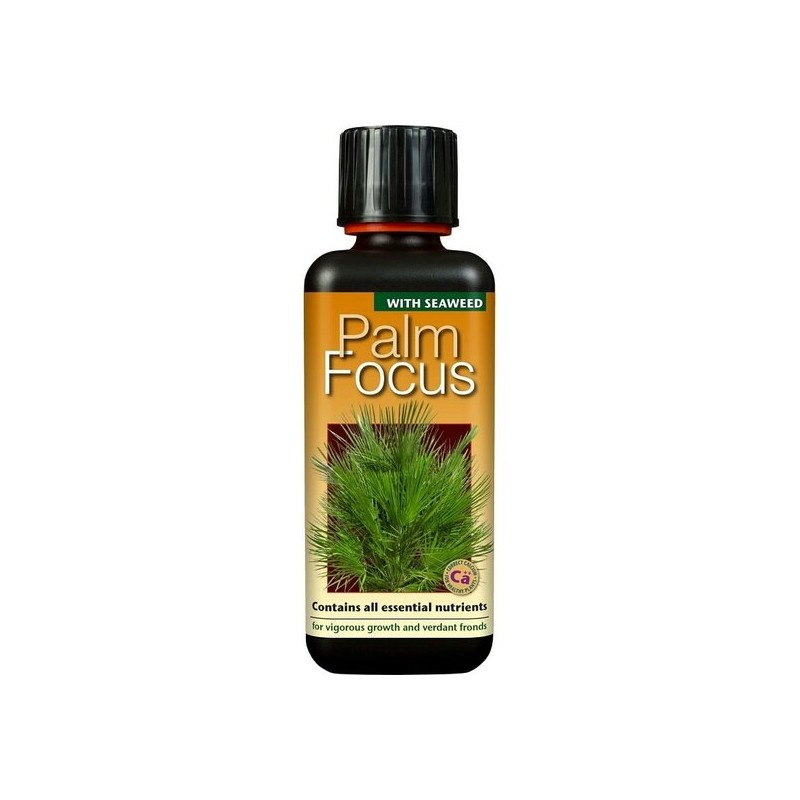 Entretien - palm focus - 300 ml