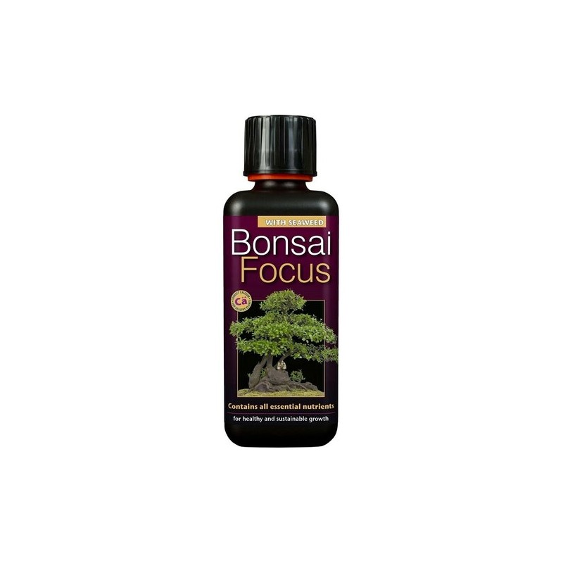 Entretien - bonsai focus - 300 ml