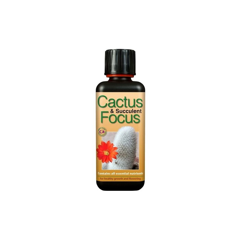 Entretien - cactus focus 300 ml
