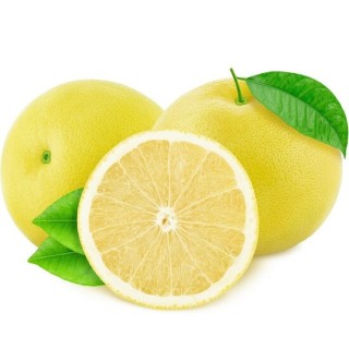 Citrus paradisi - pot Ø 45 cm