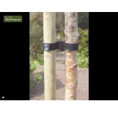 Clous de cravate d'arbre