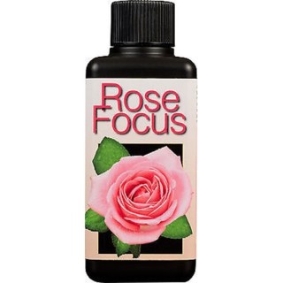 Rose Focus 300 ml