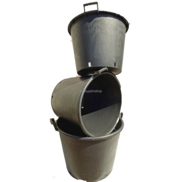 Pots taille XXL pour palmiers - Ø 55 cm / 65 ltr