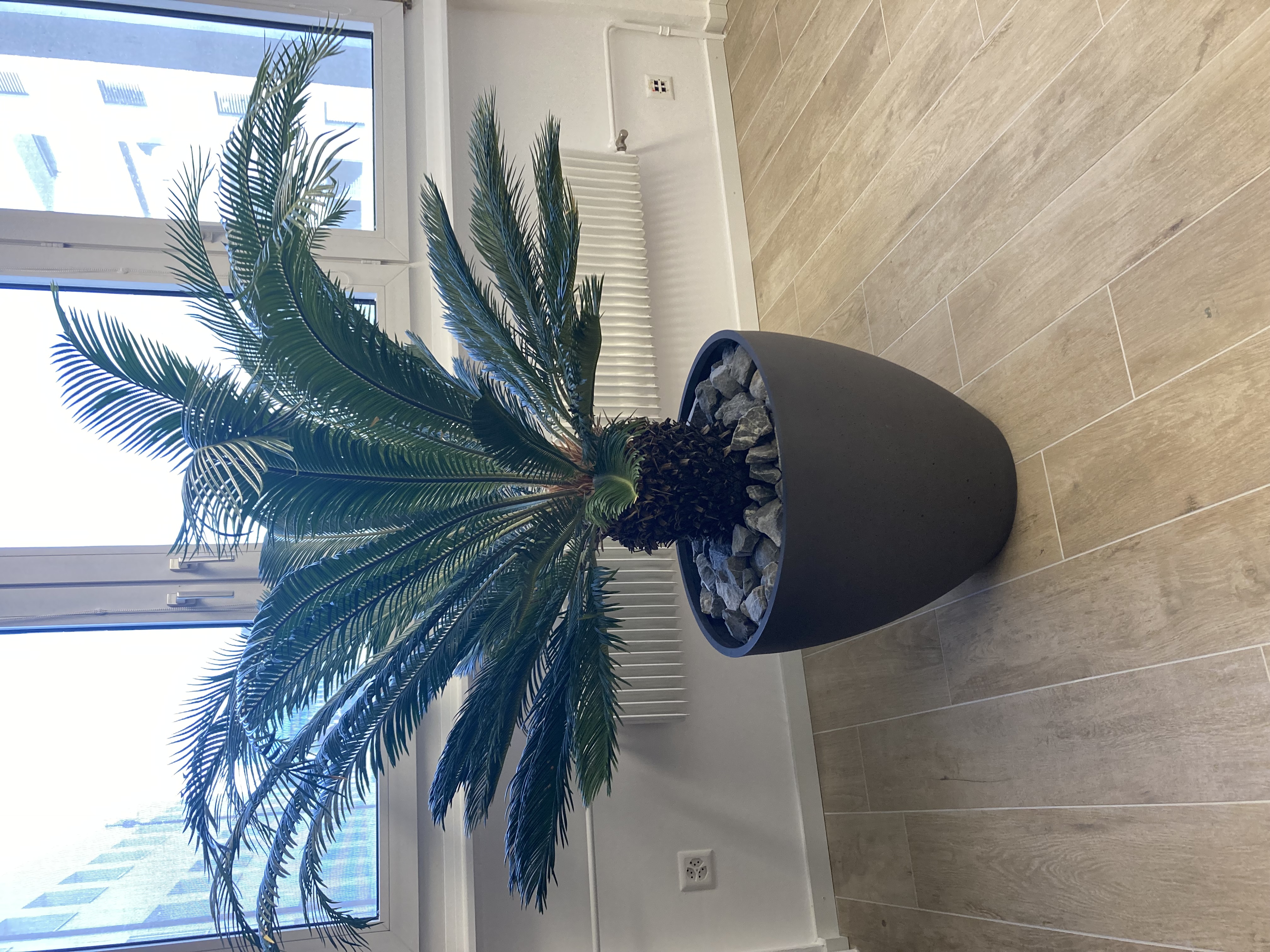 photos de nos bureaux en France avec les plantes et pots Tropicaflore.