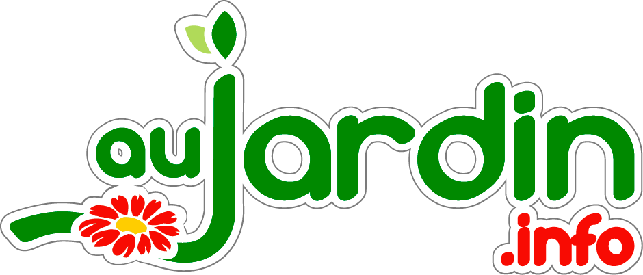 logo%20(3).png