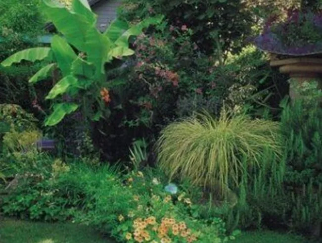 Image2.jpg