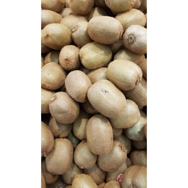 Actinidia deliciosa 'Boskoop' / Kiwi Boskoop (Autofertile) / Conteneur de 2 à 4 litres