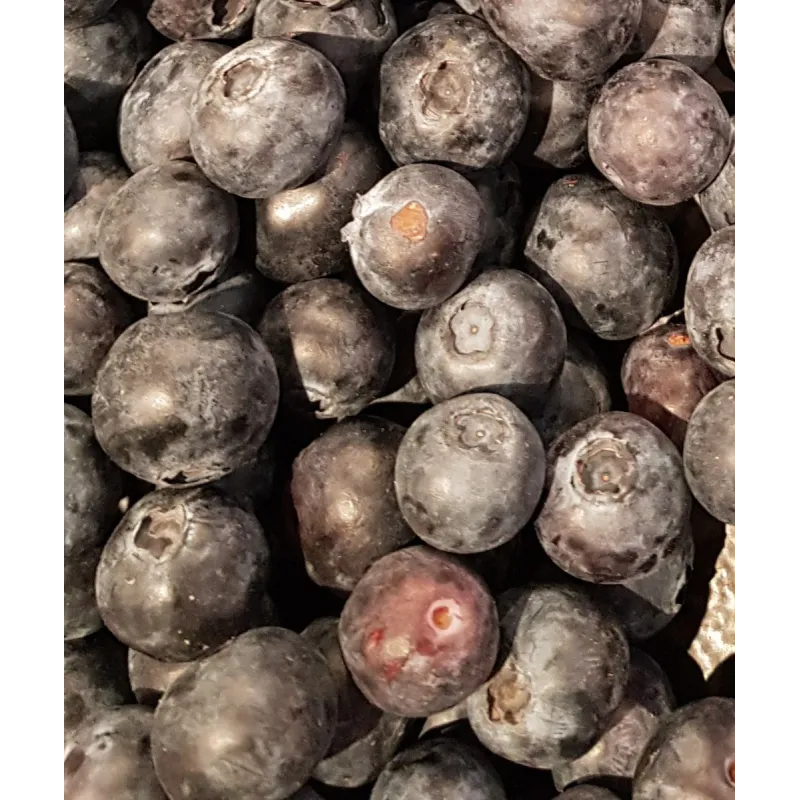 Vaccinium corymbosum 'Goldtraube 23' / Myrtillier 'Goldtraube 23' / Conteneur de 3 à 4 litres
