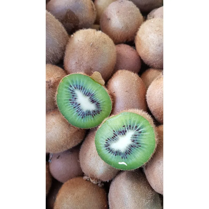 Actinidia deliciosa 'Hayward' / Kiwi 'Hayward' (Femelle) / Conteneur de 2 à 2.9 litres / Fruitier