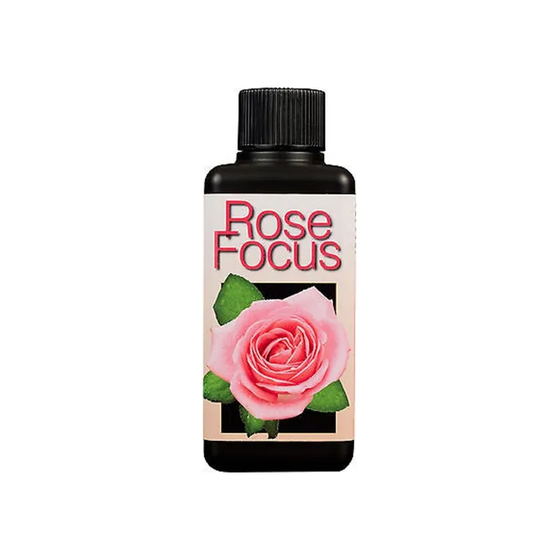 Rose Focus 300 ml
