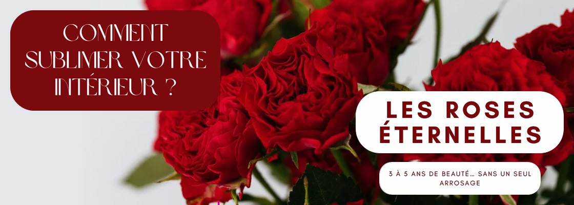 Apportez une touche d’élégance durable à votre intérieur grâce aux roses éternelles : 3 à 5 ans de beauté sans entretien.